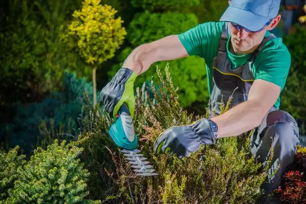 landscaping services Vinita Park